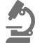 lab